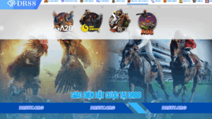 Giao diện đặt cược tại Dr88