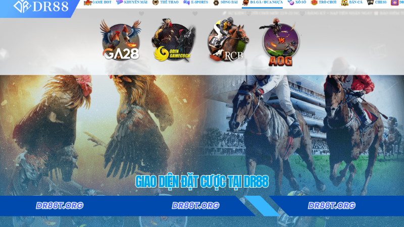 Giao diện đặt cược tại Dr88