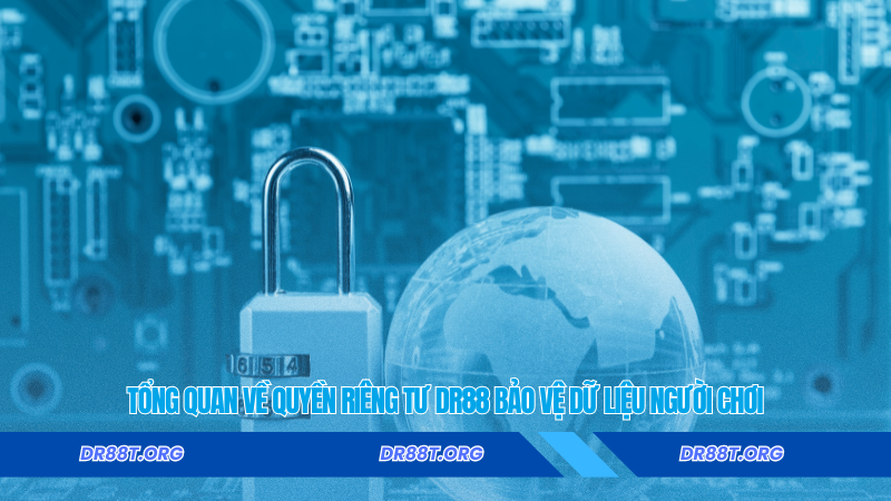 Tổng quan về quyền riêng tư Dr88 bảo vệ dữ liệu người chơi